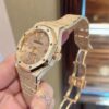 Audemars Piguet Watch Reference Pending Salmon