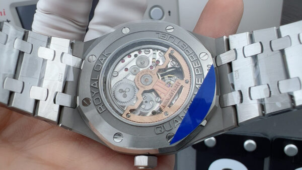 Patek Philippe Watch (COMPLICATIONS)