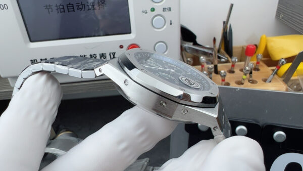 Patek Philippe Watch (COMPLICATIONS)