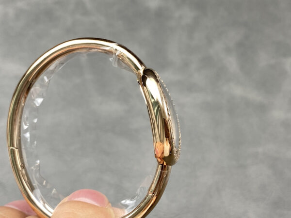 Cartier Watch Reference Pending
