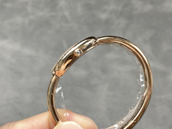 Cartier Watch Reference Pending