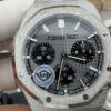 Audemars Piguet Watch Gray
