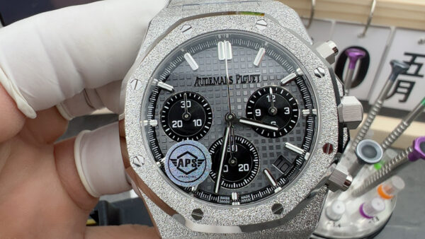 Audemars Piguet Watch Gray