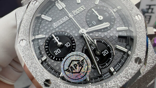 Audemars Piguet Watch Gray