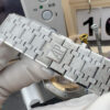 Audemars Piguet Watch Gray