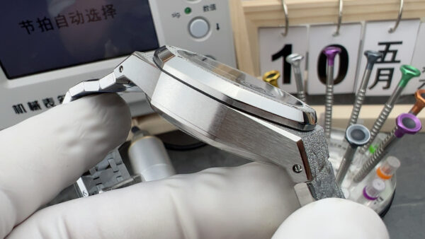 Audemars Piguet Watch Gray