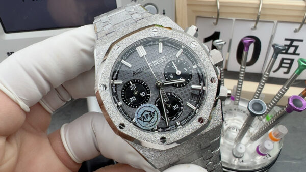 Audemars Piguet Watch Gray