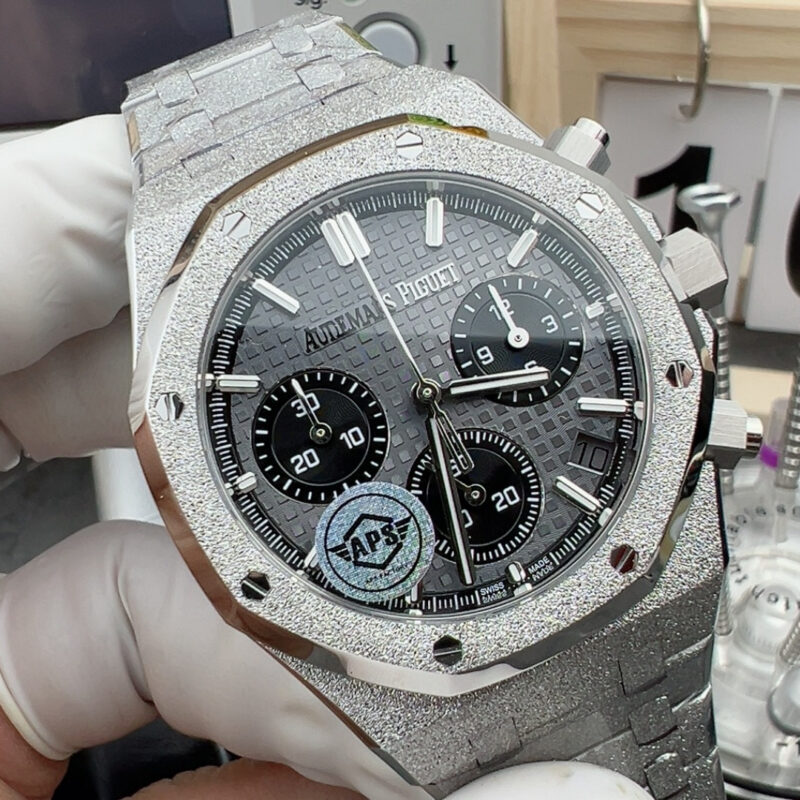 Audemars Piguet Watch Gray