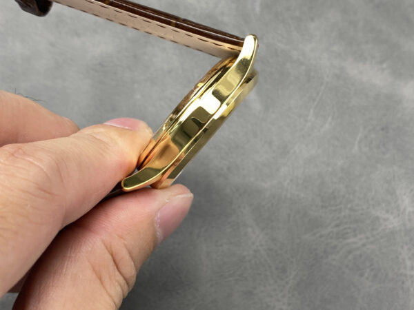 Patek Philippe Watch Reference Pending