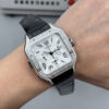 cmp_i1757293023792_6176_0_8-1.jpg Cartier Santos (SANTOS)