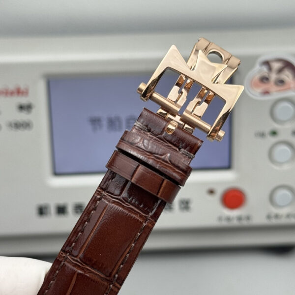 Patek Philippe Watch (COMPLICATIONS)