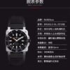 Bell & Ross Watch Reference Pending