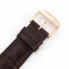Jaeger-LeCoultre Master Control (COMPLICATIONS)
