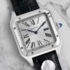 Cartier Santos (SANTOS) Silver