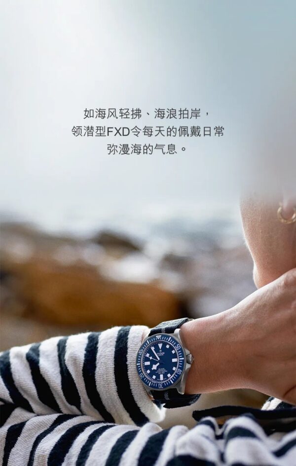 Tudor Watch Reference Pending