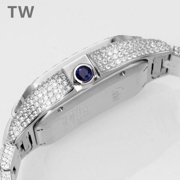 Cartier Santos (SANTOS) Blue