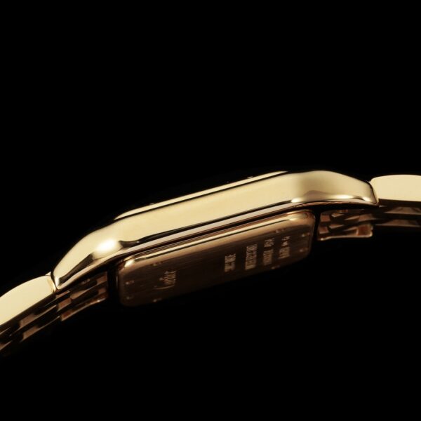Cartier Panthere (PANTHERE) Blue