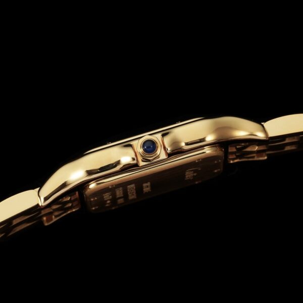Cartier Panthere (PANTHERE) Blue