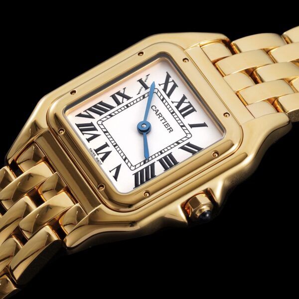 Cartier Panthere (PANTHERE) Blue