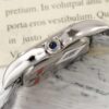 Cartier Panthere (PANTHERE)
