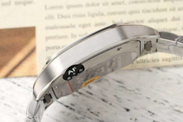 Cartier Santos (SANTOS)
