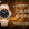 Audemars Piguet Watch Reference Pending