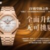 Audemars Piguet Watch Reference Pending