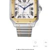 i1732780643_361_6-3.jpg Cartier Santos (SANTOS) Blue
