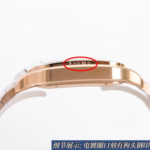 i1732780643_3901_9-3.jpg Cartier Santos (SANTOS) Blue