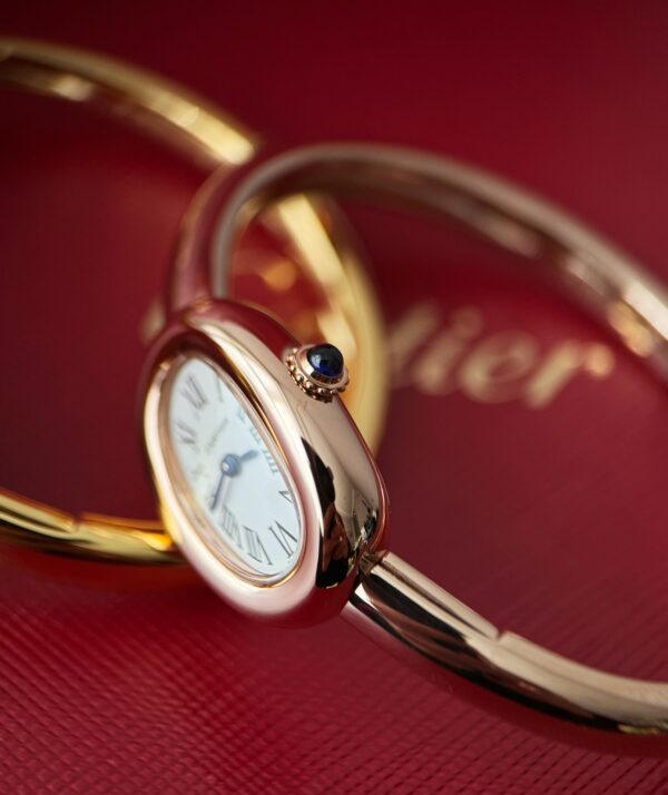 Cartier Watch Reference Pending Blue