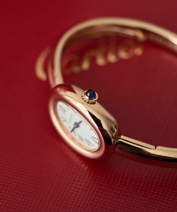 Cartier Watch Reference Pending Blue