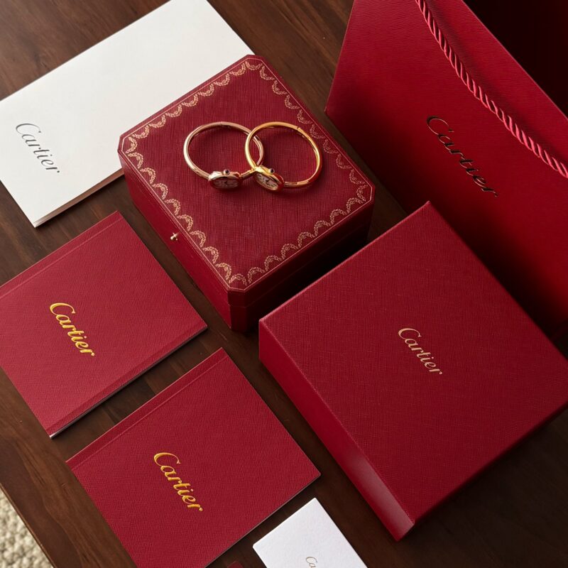 i1735138563_3861_8-4.jpg Cartier Watch Reference Pending Blue