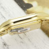 Cartier Panthere (PANTHERE) Blue