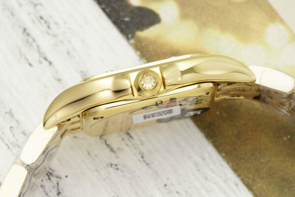 Cartier Panthere (PANTHERE) Blue