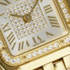 Cartier Panthere (PANTHERE) Blue
