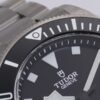 i1743492948_4218_4.jpg Tudor Watch Reference Pending Black