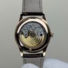 Patek Philippe Watch (COMPLICATIONS)