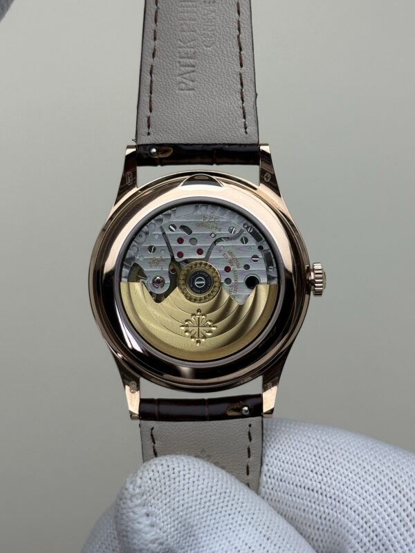 Patek Philippe Watch (COMPLICATIONS)