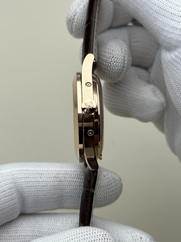 Patek Philippe Watch (COMPLICATIONS)