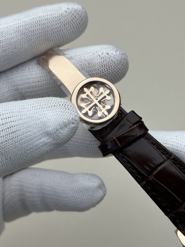 Patek Philippe Watch (COMPLICATIONS)