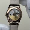 Patek Philippe Watch (COMPLICATIONS)