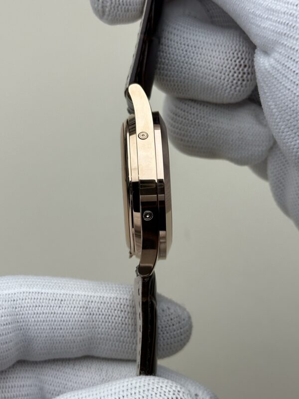 Patek Philippe Watch (COMPLICATIONS)