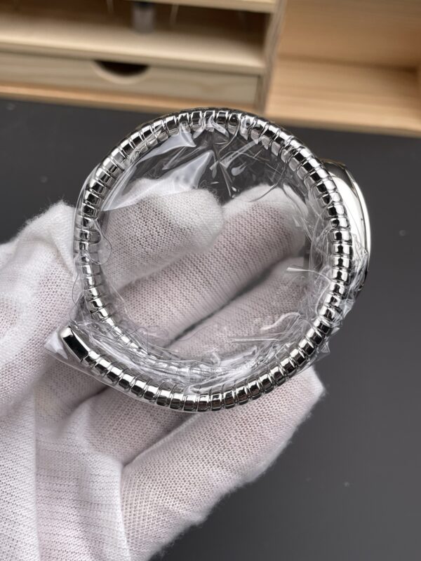 Bulgari Watch Reference Pending