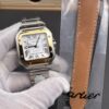 i1749237727705_7612_0_0-3.jpg Cartier Santos (SANTOS)