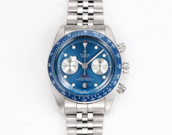 Tudor Black Bay 0024 Panda