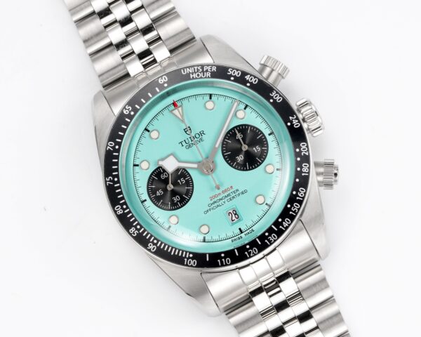 Tudor Black Bay 0024 Panda