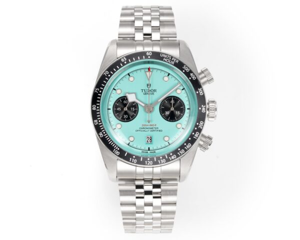 Tudor Black Bay 0024 Panda