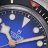 Tudor Black Bay (PATRIMONY) Smoked