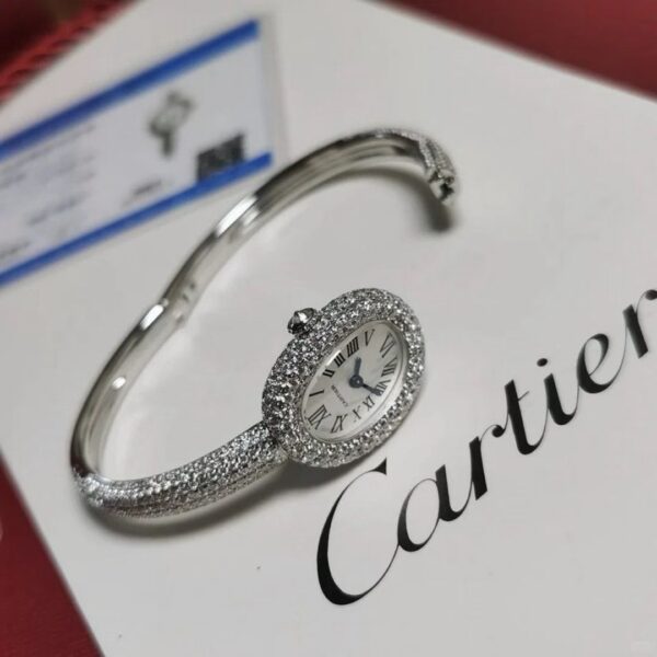 Cartier Watch Reference Pending