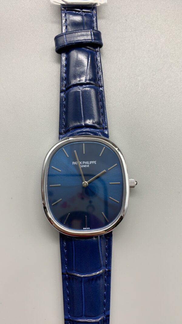 Patek Philippe Watch 5378